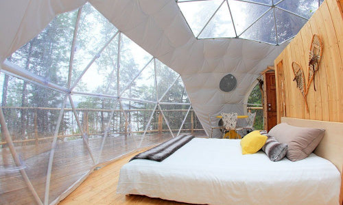 Geodesic PVC Dome